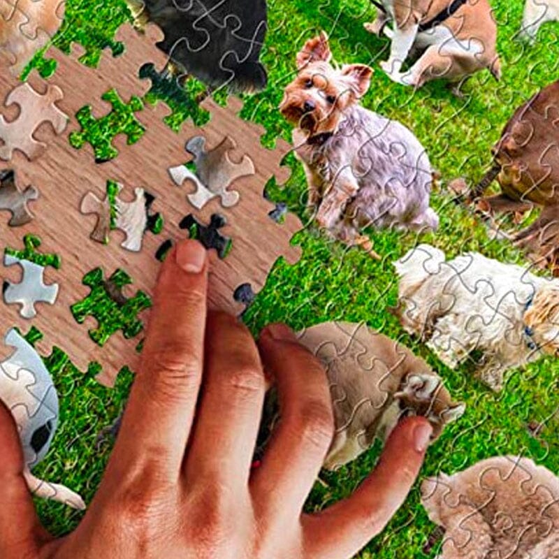Puzzle 1000 pièces, 101 chiots qui font caca