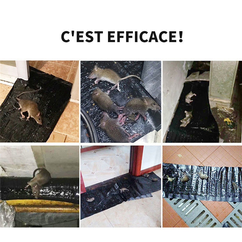 Piège à souris à détection