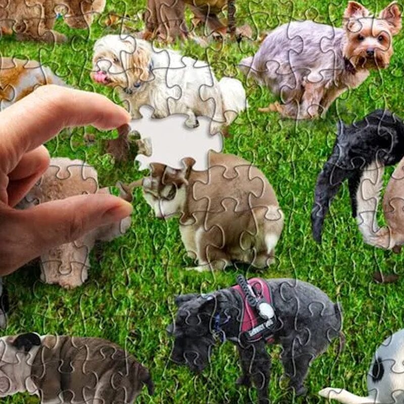 Puzzle 1000 pièces, 101 chiots qui font caca