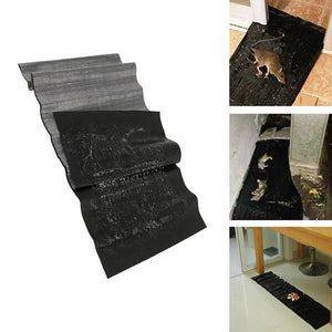 Piège à souris à détection