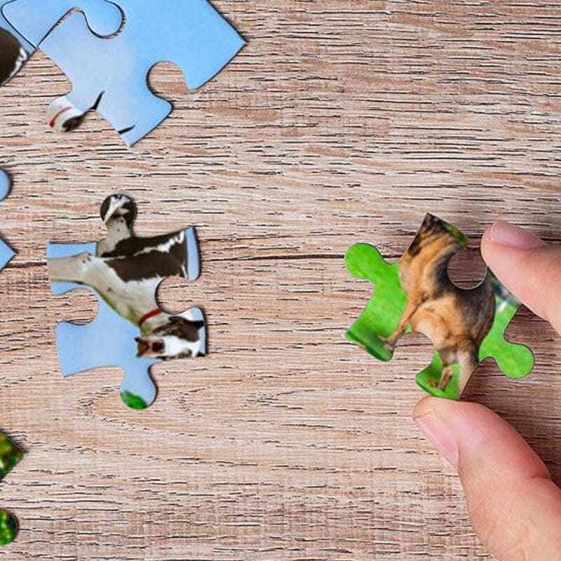Puzzle 1000 pièces, 101 chiots qui font caca