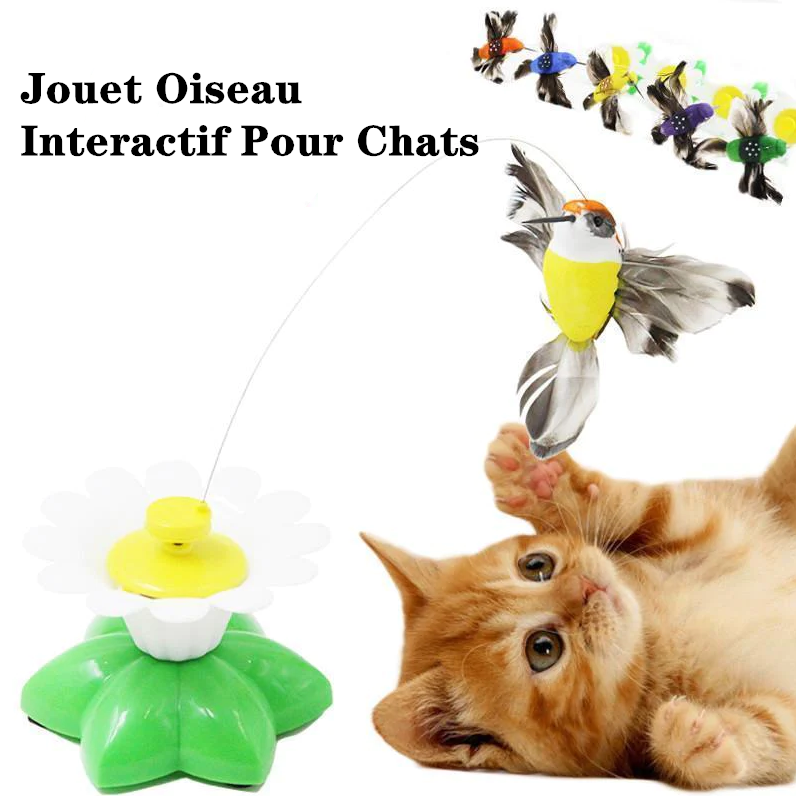 Jouet Oiseau Interactif Pour Chats