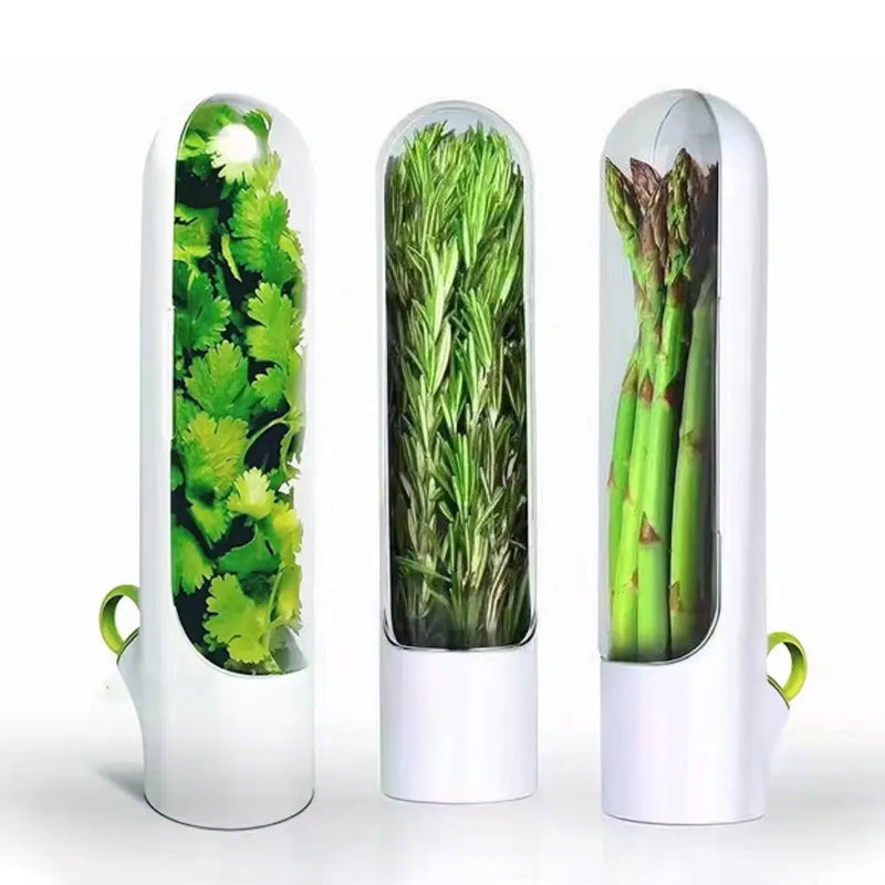 Économiseur d'herbes fraîches