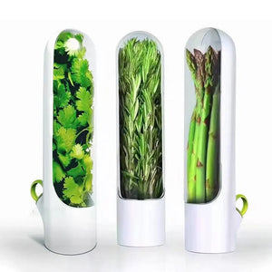 Économiseur d'herbes fraîches