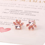 Boucles d'Oreilles Patte de Chat
