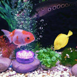 LED Lumières de piscine submersibles