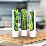Économiseur d'herbes fraîches