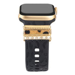 Accessoires en Métal pour l'Apple Watch